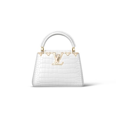LOUIS VUITTON CAPUCINES MINI N86153 (21*14*8cm) LOUIS VUITTON CAPUCINES MINI N86153 (21*14*8cm)
